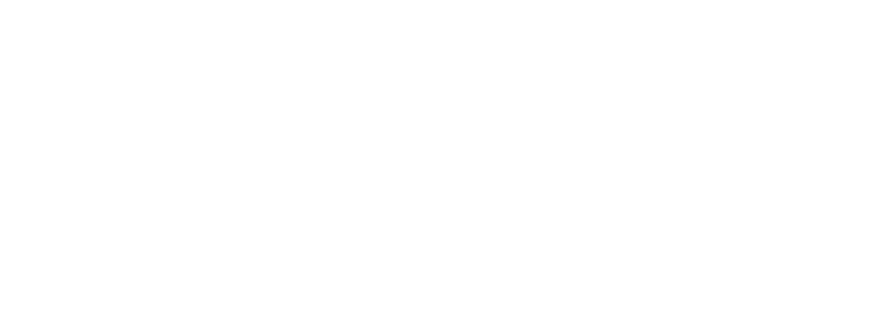 Buurmeijer Automotive logo